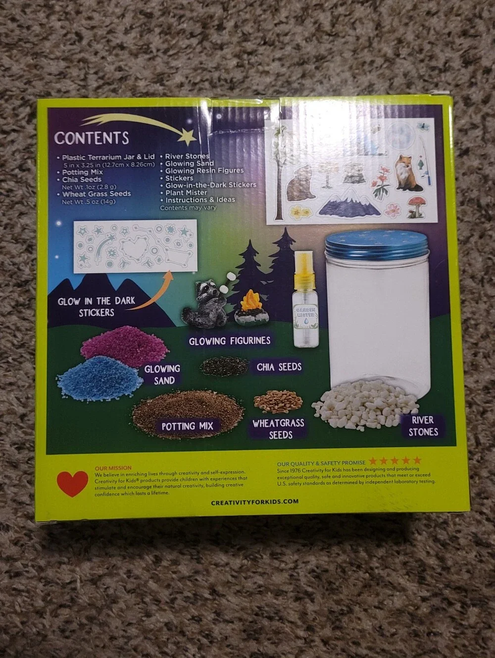 Terrarium Kit
